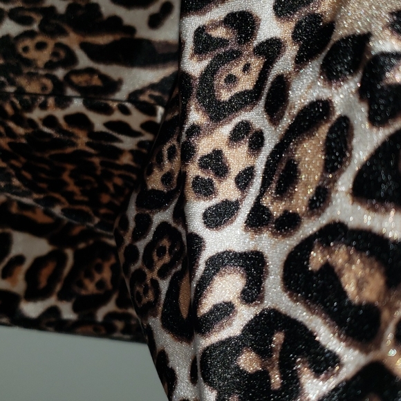 Velvet Cheetah Dress - Picture 3 of 4